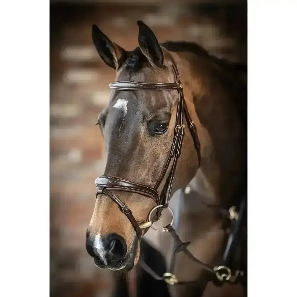 Lemieux Competition Flash Bridle-Bridles-Lemieux-Havana-Cob-Horsey Shopping