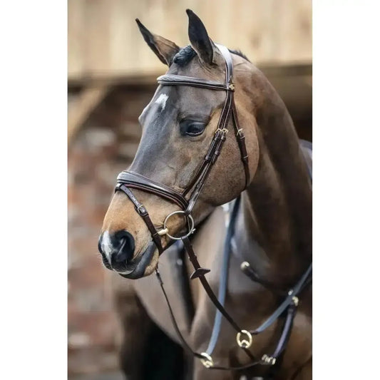 Lemieux Competition Flash Bridle-Bridles-Lemieux-Black-Cob-Horsey Shopping