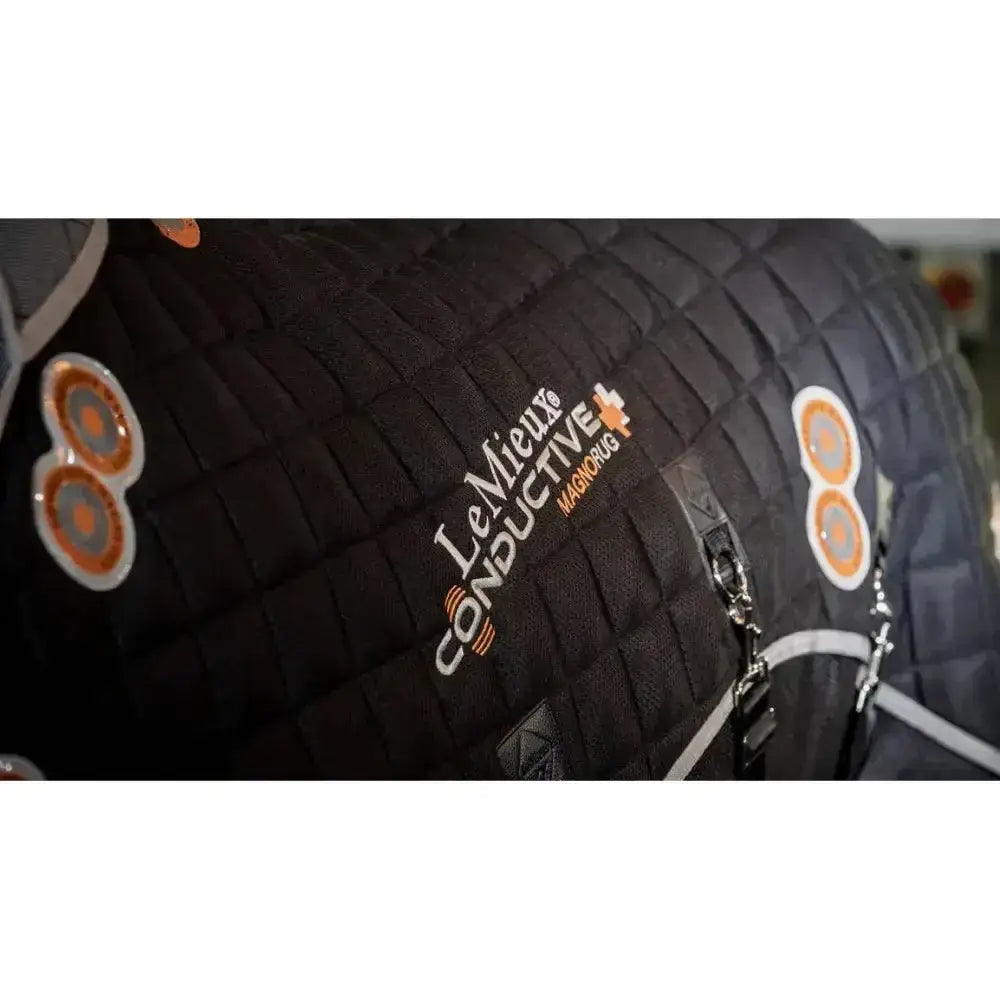 Lemieux Conductive Magno Rug-Horse Therapy-Lemieux-Medium-Black-Horsey Shopping
