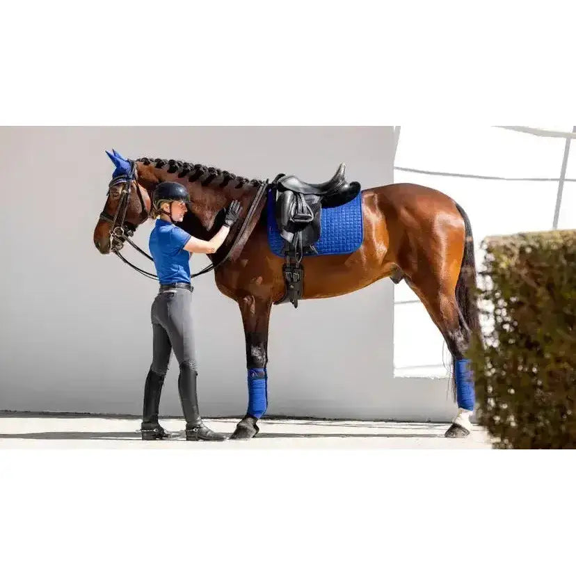 Lemieux Cotton Dressage Square Benetton-Dressage Saddle Pads-Lemieux-Large-Benetton Blue-Horsey Shopping