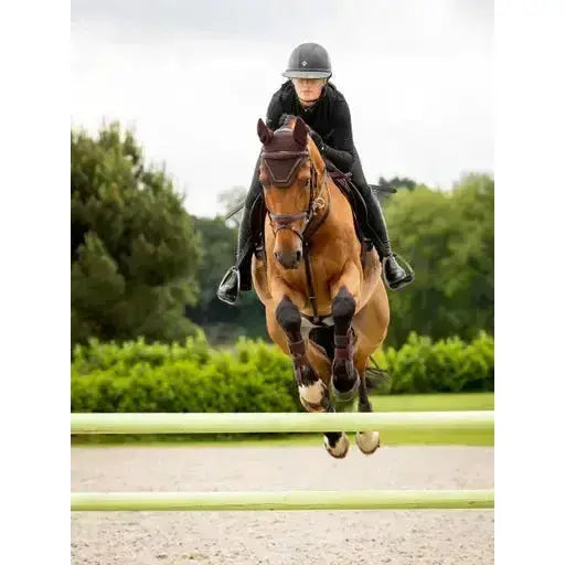 Lemieux Crystal Fly Hood Brown-Horse Ear Bonnets-Lemieux-Medium-Brown-Horsey Shopping