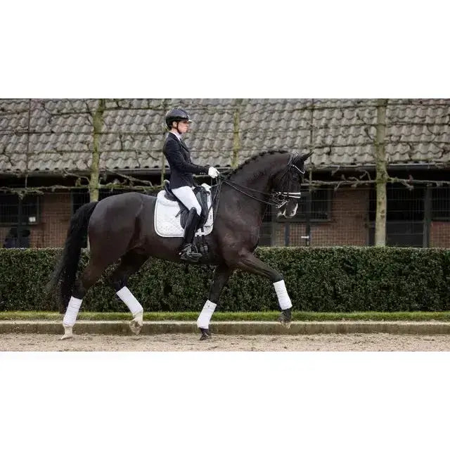 Lemieux Crystal Suede Dressage Square White-Dressage Saddle Pads-Lemieux-Large-White-Horsey Shopping
