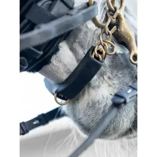 Lemieux Curb Chain Guard Black-Curb Chain Guards-Lemieux-One Size-Black-Horsey Shopping