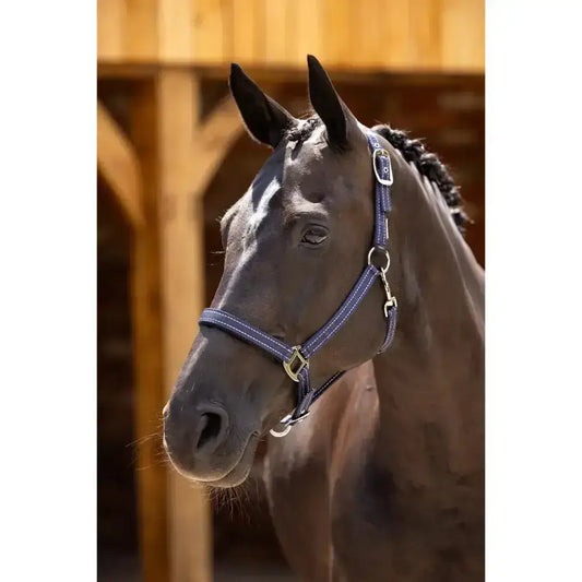 Lemieux Essential Yard Headcollar Navy-Headcollars-Lemieux-Cob-Horsey Shopping