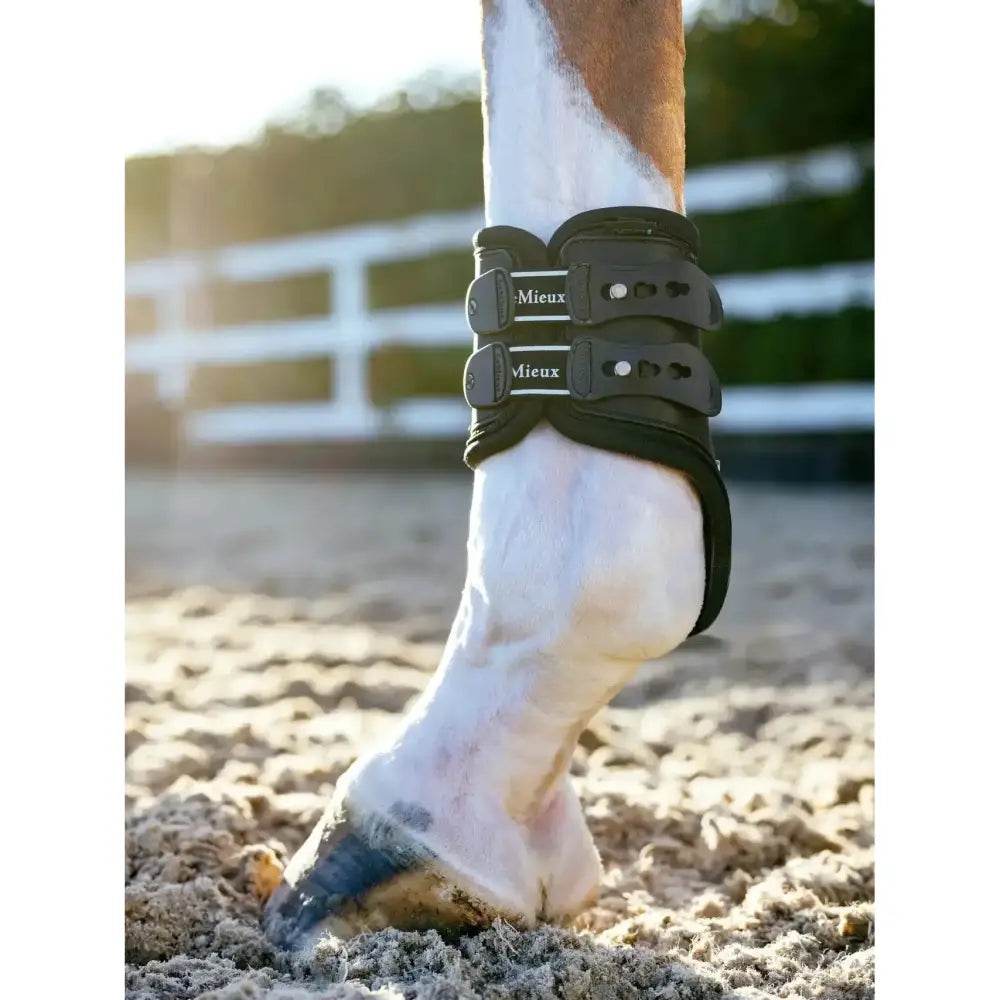 Lemieux Exo-Flex® Fetlock Spare Strap Set Black-Fetlock Boots-Lemieux-Medium-Black-Horsey Shopping