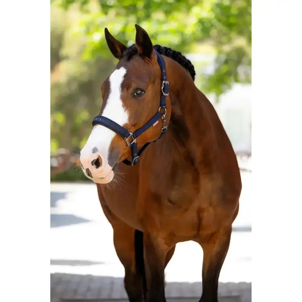 Lemieux Finesse Headcollar Navy-Headcollars-Lemieux-Navy-Pony-Horsey Shopping