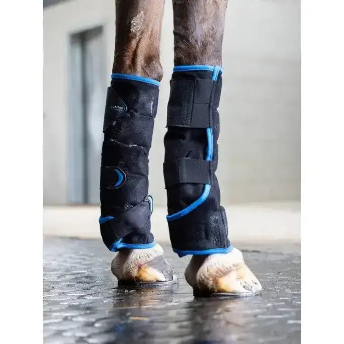 Lemieux Freeze Flow Ice Boot Front Black-Therapy Boots-Lemieux-One Size-Black-Horsey Shopping