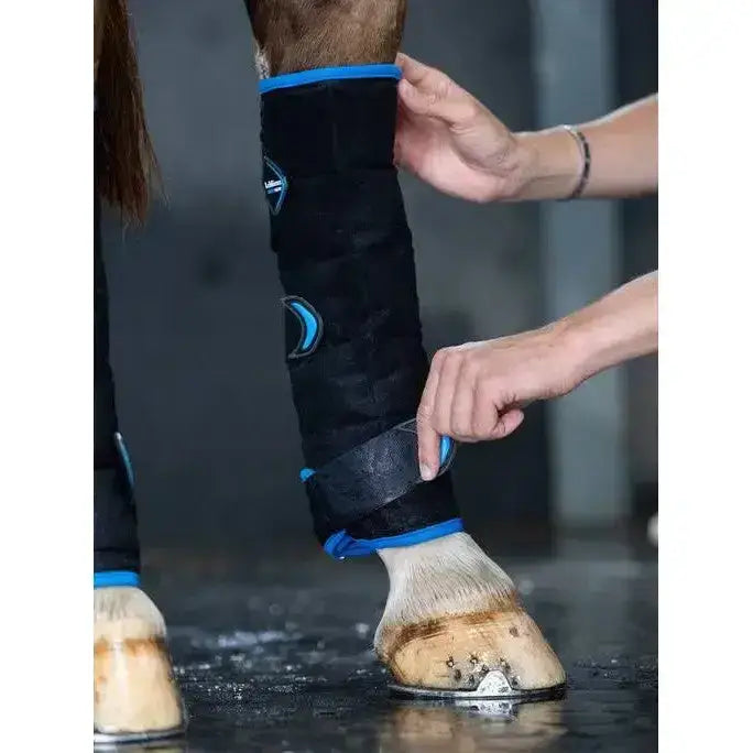 Lemieux Freeze Flow Ice Boot Hind Black-Therapy Boots-Lemieux-One Size-Black-Horsey Shopping
