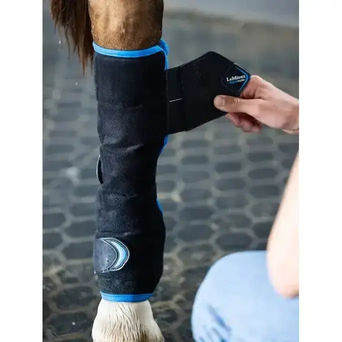 Lemieux Freeze Flow Ice Boot Hind Black-Therapy Boots-Lemieux-One Size-Black-Horsey Shopping