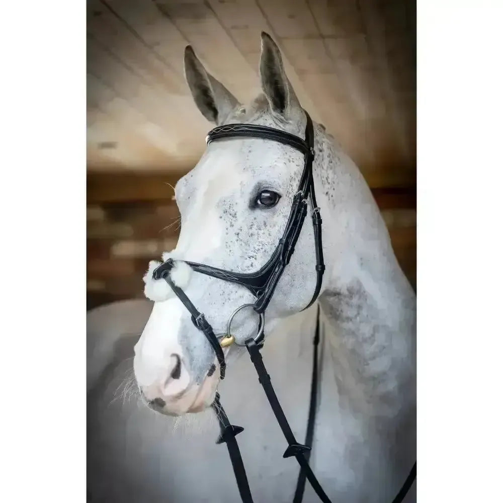 Lemieux Grackle Bridle-Bridles-Lemieux-Black-Cob-Horsey Shopping