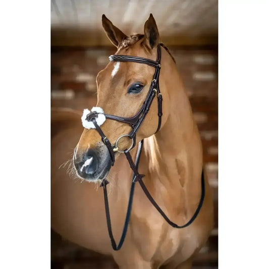 Lemieux Grackle Bridle-Bridles-Lemieux-Havana-Cob-Horsey Shopping