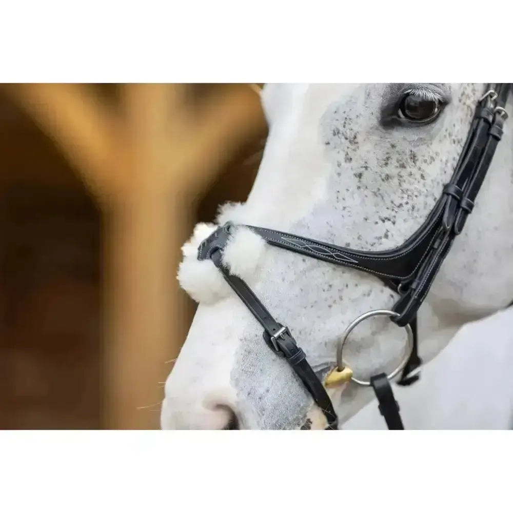Lemieux Grackle Bridle-Bridles-Lemieux-Black-Cob-Horsey Shopping