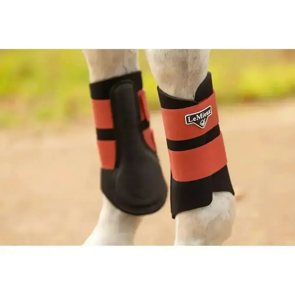Lemieux Grafter Boot Sienna-Brushing Boots-Lemieux-X Large-Horsey Shopping