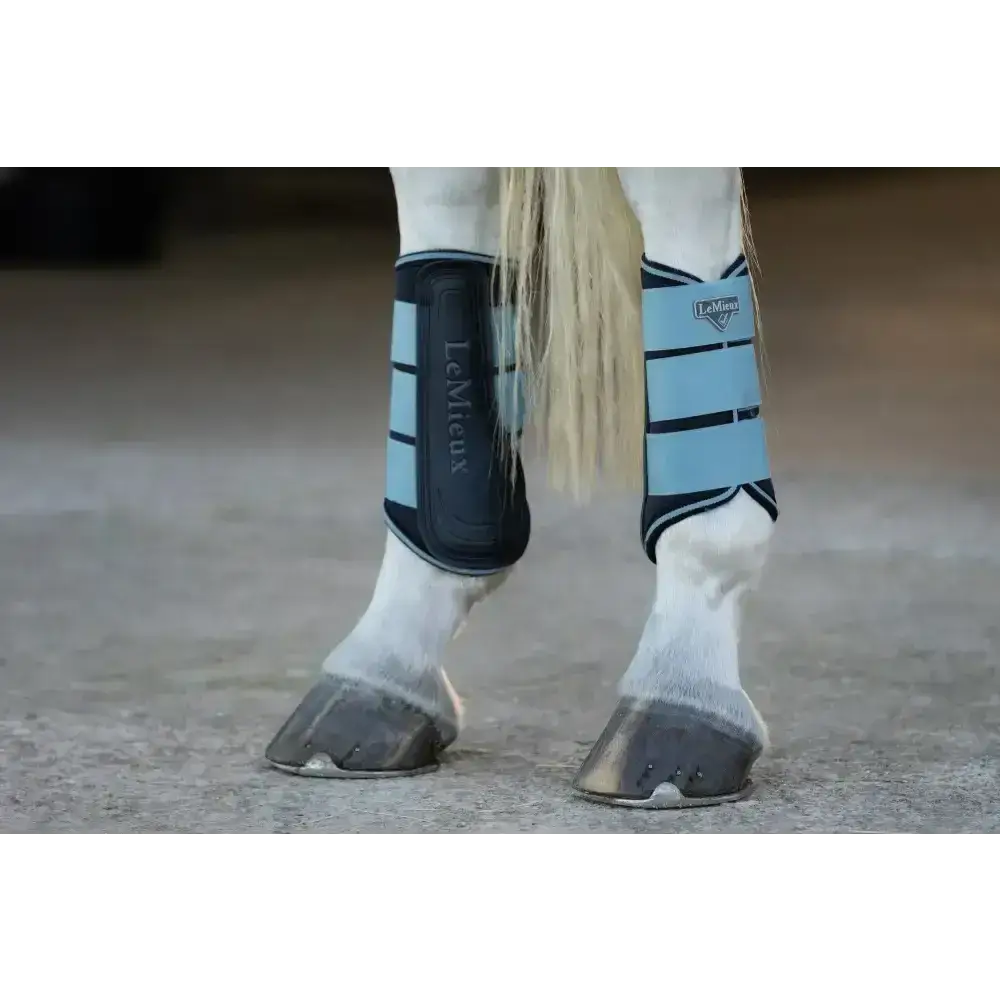 Lemieux Grafter Boots Glacier-Brushing Boots-Lemieux-Small-Glacier-Horsey Shopping