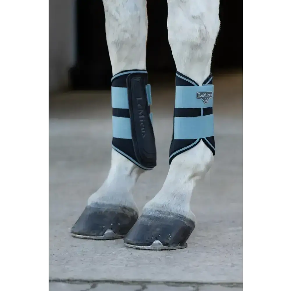 Lemieux Grafter Boots Glacier-Brushing Boots-Lemieux-Small-Glacier-Horsey Shopping