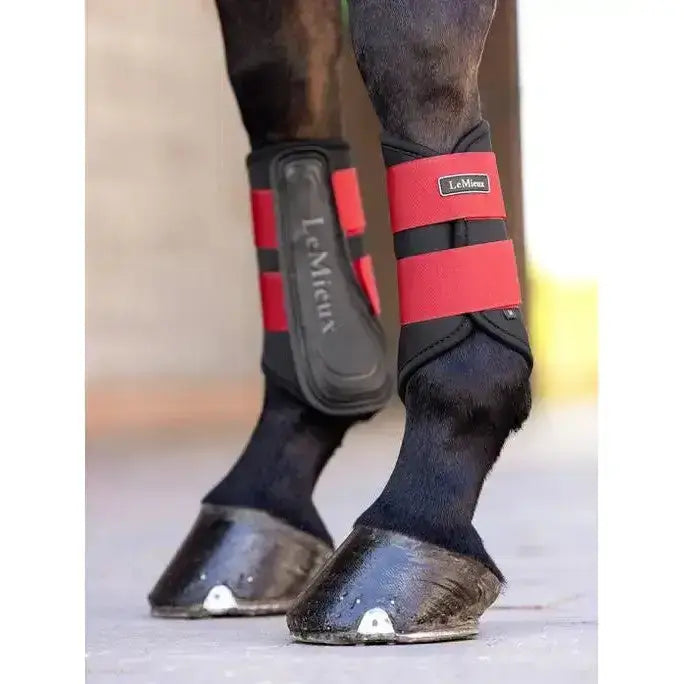 Lemieux Grafter Brushing Boot Chilli-Brushing Boots-Lemieux-Small-Chilli-Horsey Shopping