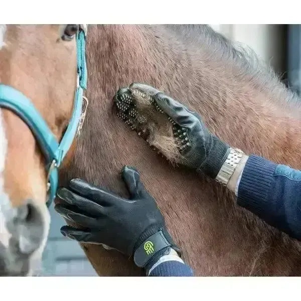 Lemieux Hands On De Shedding Grooming Gloves-Grooming Gloves-Lemieux-X-Small-Horsey Shopping