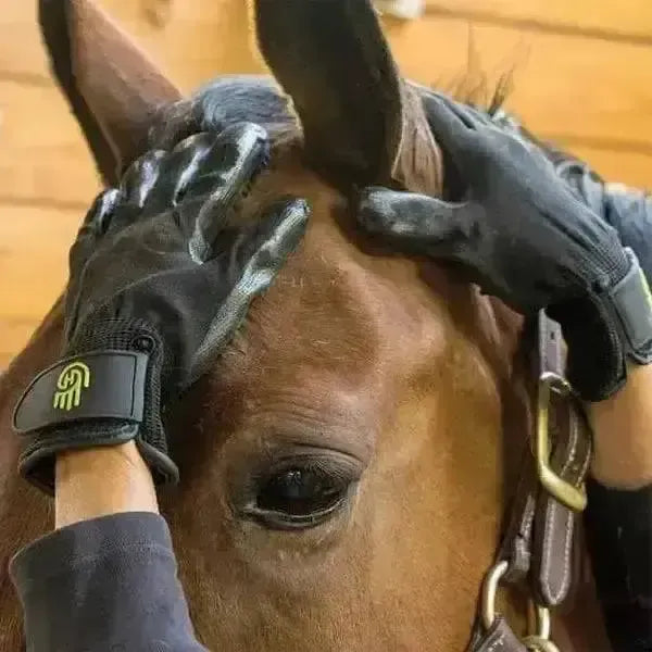 Lemieux Hands On De Shedding Grooming Gloves-Grooming Gloves-Lemieux-X-Small-Horsey Shopping