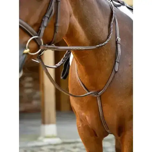 Lemieux Hunter Standing Martingale Havana/Silver-Martingales-Lemieux-Pony-Havana/Silver-Horsey Shopping