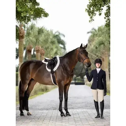 Lemieux Hunter Standing Martingale Havana/Silver-Martingales-Lemieux-Pony-Havana/Silver-Horsey Shopping