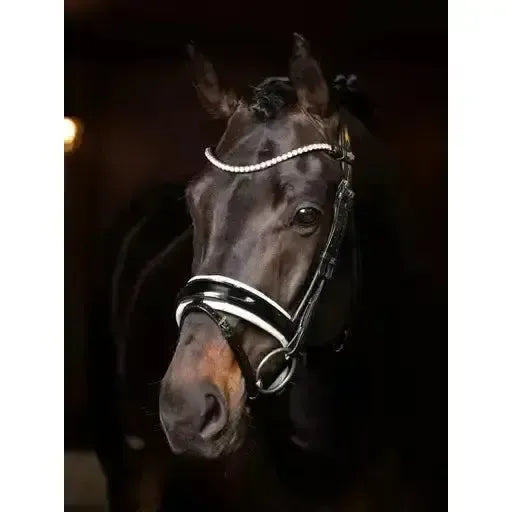 Lemieux Ice Crystal Browband Black-Browbands-Lemieux-Black-Pony-Horsey Shopping