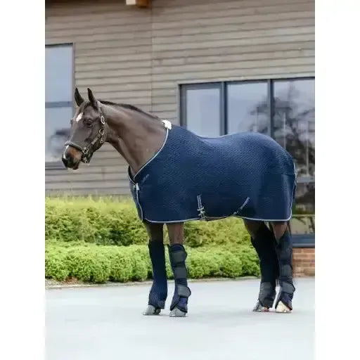 Lemieux Kudos 3D Mesh Travel Boots Navy-Horse Travel Boots-Lemieux-Cob-Navy-Horsey Shopping