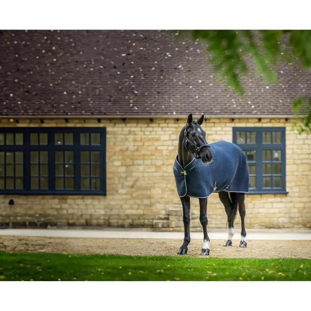 Lemieux Kudos 3D Mesh Travel Rug Navy-Show Rugs-Lemieux-5'6"-Horsey Shopping
