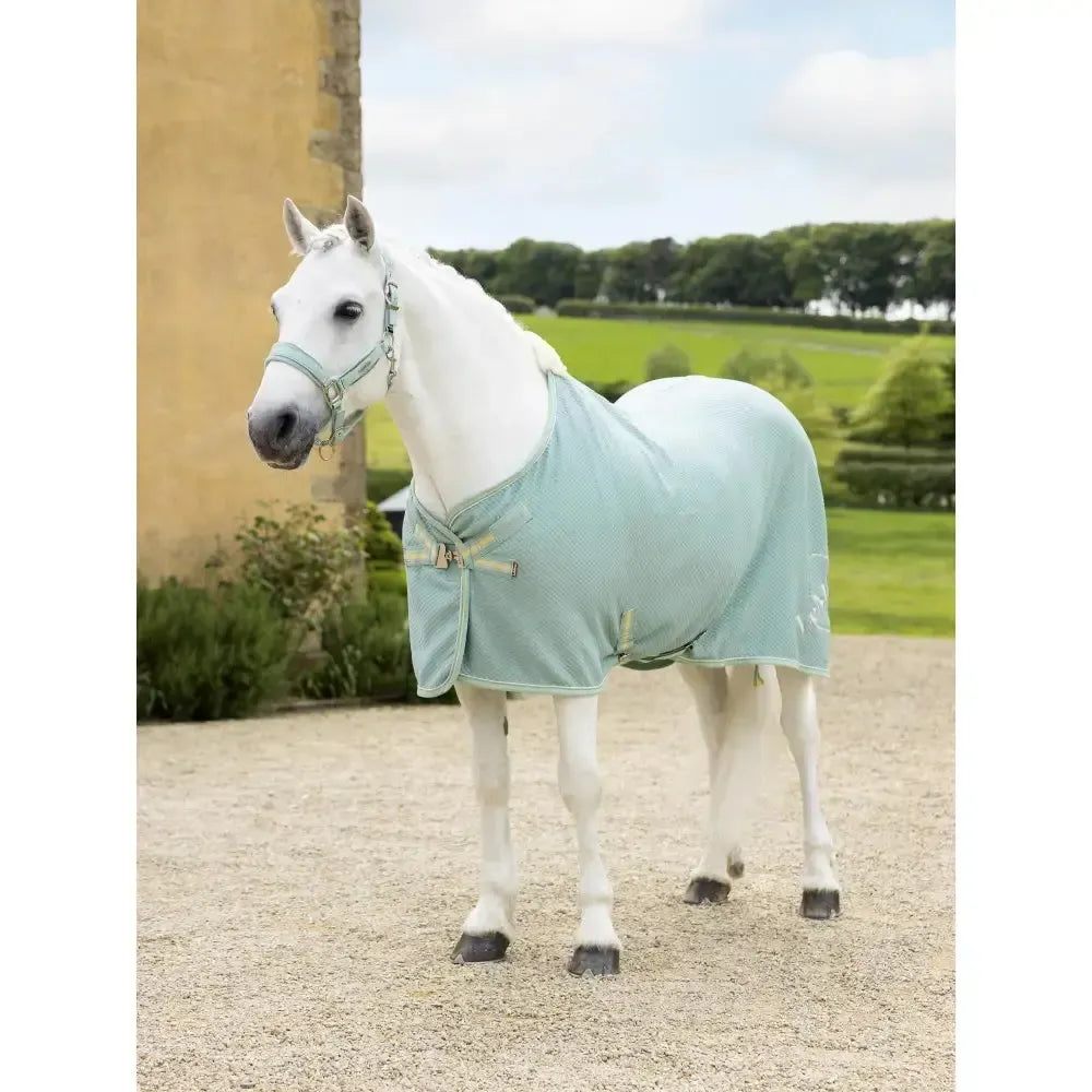 Lemieux Kudos Bamboo Cooler Aqua-Cooler Rugs-Lemieux-Aqua-4'9"-Horsey Shopping