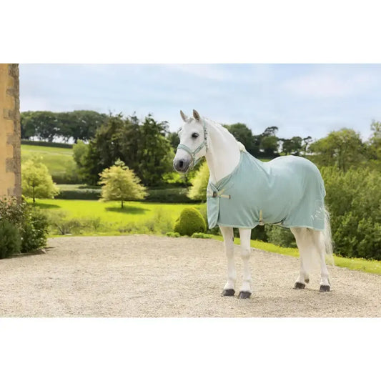 Lemieux Kudos Bamboo Cooler Aqua-Cooler Rugs-Lemieux-Aqua-4'9"-Horsey Shopping