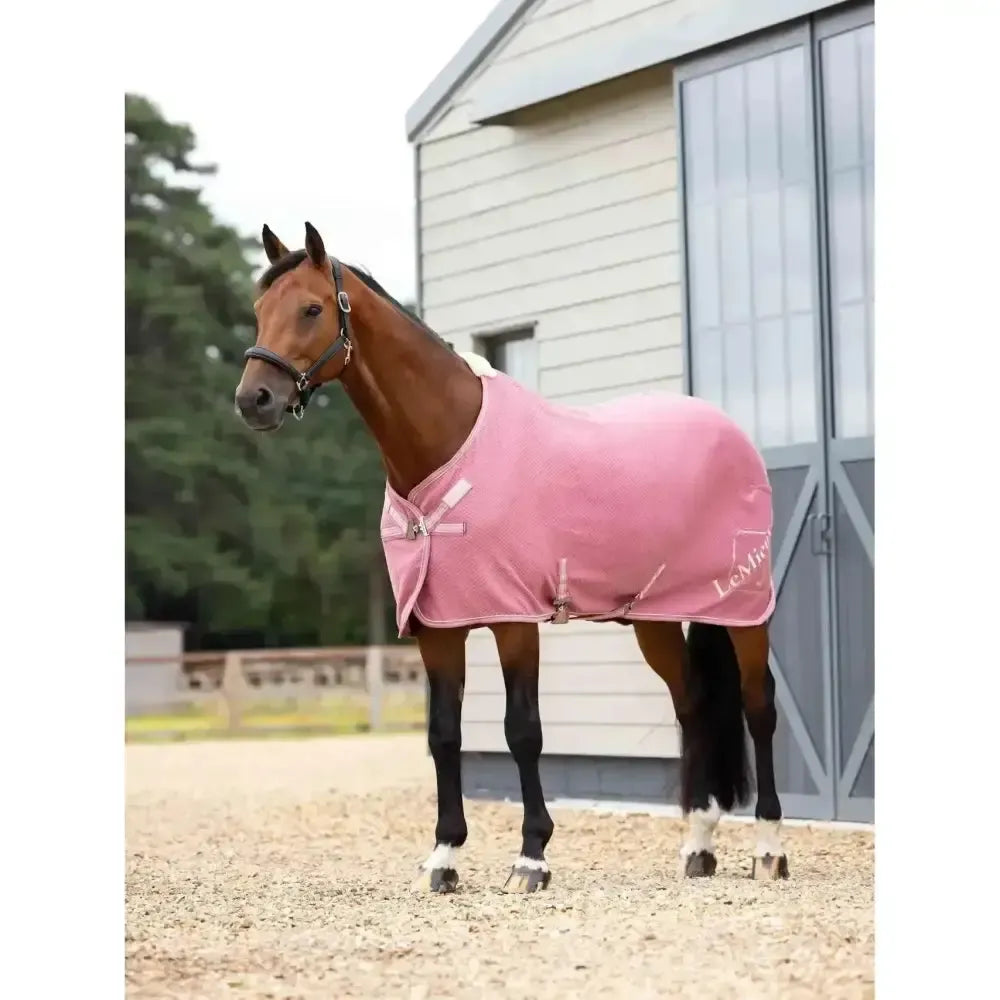 Lemieux Kudos Bamboo Cooler Peony-Cooler Rugs-Lemieux-Peony-4'9"-Horsey Shopping