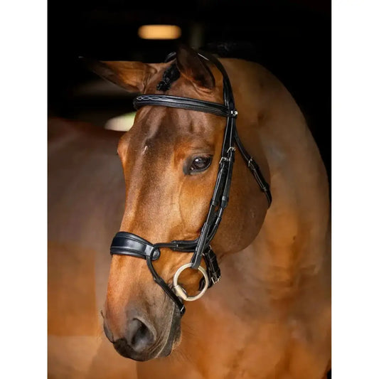 Lemieux Kudos Clear Arc Bridle Black/Silver-Bridles-Lemieux-Pony-Black/Silver-Horsey Shopping