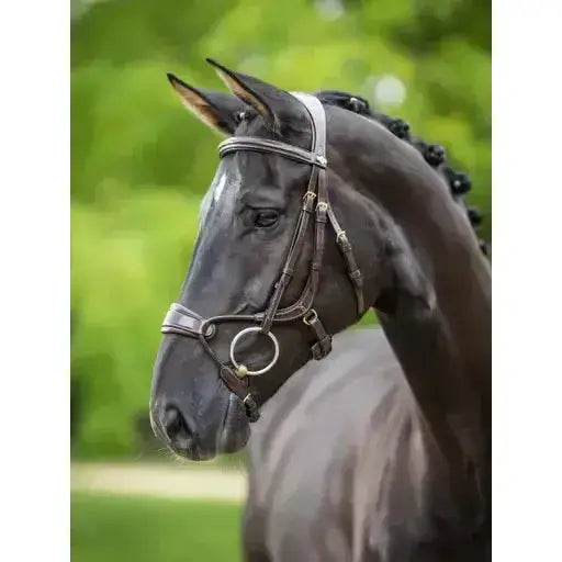 Lemieux Kudos Clear Arc Bridle Havana/Brass-Bridles-Lemieux-Pony-Havana/Brass-Horsey Shopping