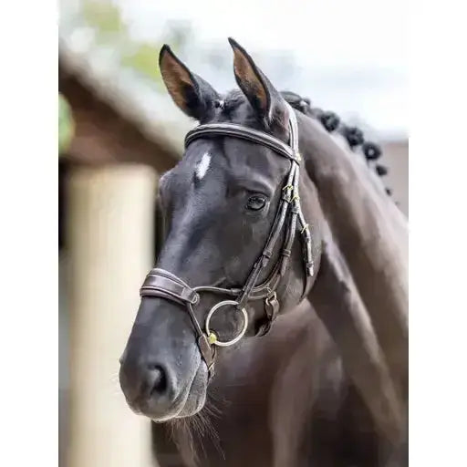 Lemieux Kudos Clear Arc Bridle Havana/Brass-Bridles-Lemieux-Pony-Havana/Brass-Horsey Shopping