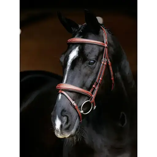 Lemieux Kudos Competition Flash Bridle Chestnut-Flash Bridles-Lemieux-Chestnut-Pony-Horsey Shopping