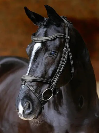 Lemieux Kudos Contour Flash Bridle Black-Flash Bridles-Lemieux-Black-Pony-Horsey Shopping