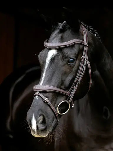 Lemieux Kudos Contour Flash Bridle Brown-Flash Bridles-Lemieux-Brown-Pony-Horsey Shopping
