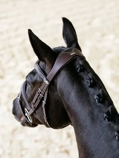 Lemieux Kudos Contour Flash Bridle Brown-Flash Bridles-Lemieux-Brown-Pony-Horsey Shopping