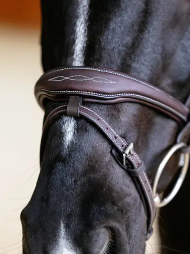 Lemieux Kudos Contour Flash Bridle Brown-Flash Bridles-Lemieux-Brown-Pony-Horsey Shopping