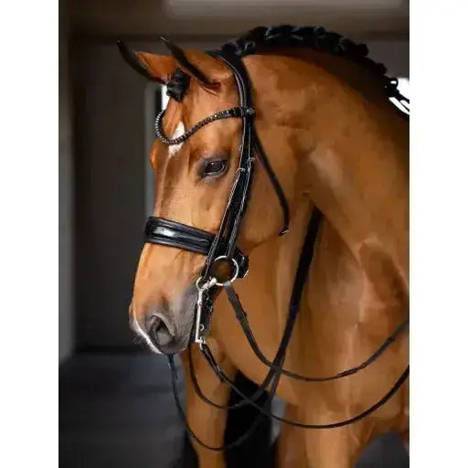 Lemieux Kudos Double Bridle Black-Cavesson Bridle-Lemieux-Pony-Black/Black-Horsey Shopping