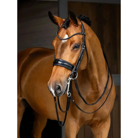 Lemieux Kudos Double Bridle Black-Cavesson Bridle-Lemieux-Pony-Black/Black-Horsey Shopping