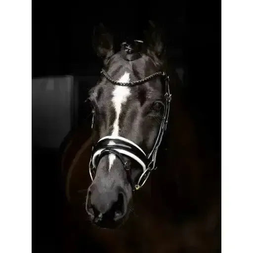 Lemieux Kudos Double Bridle Black/White-Bridles-Lemieux-Pony-Black/White-Horsey Shopping