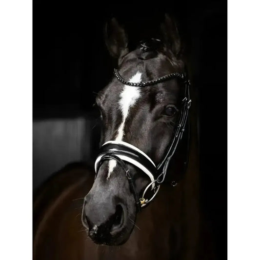 Lemieux Kudos Double Bridle Black/White-Bridles-Lemieux-Pony-Black/White-Horsey Shopping