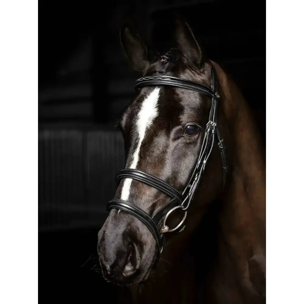 Lemieux Kudos Double Noseband Bridle Black/Silver-Bridles-Lemieux-Cob-Black/Silver-Horsey Shopping
