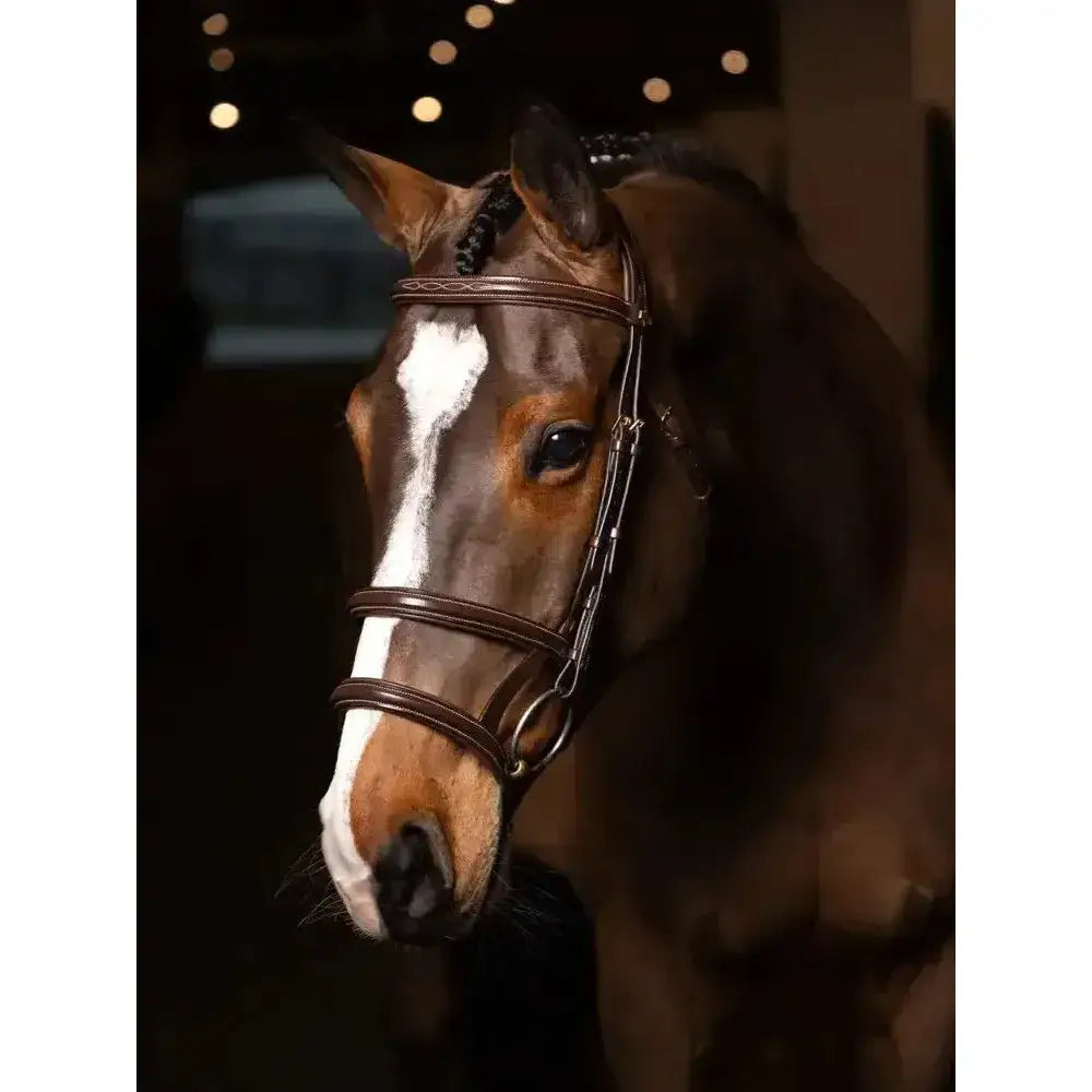 Lemieux Kudos Double Noseband Bridle Havana/Brass-Bridles-Lemieux-Cob-Havana/Brass-Horsey Shopping