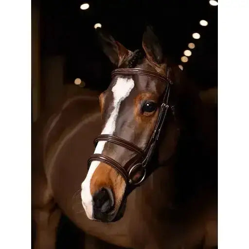 Lemieux Kudos Double Noseband Bridle Havana/Brass-Bridles-Lemieux-Cob-Havana/Brass-Horsey Shopping
