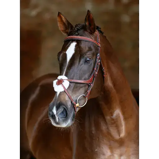 Lemieux Kudos Grackle Bridle Chestnut-Grackle Bridles-Lemieux-Chestnut-Pony-Horsey Shopping
