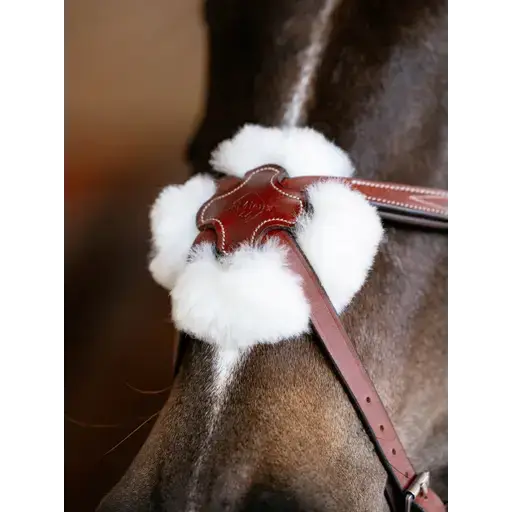 Lemieux Kudos Grackle Bridle Chestnut-Grackle Bridles-Lemieux-Chestnut-Pony-Horsey Shopping