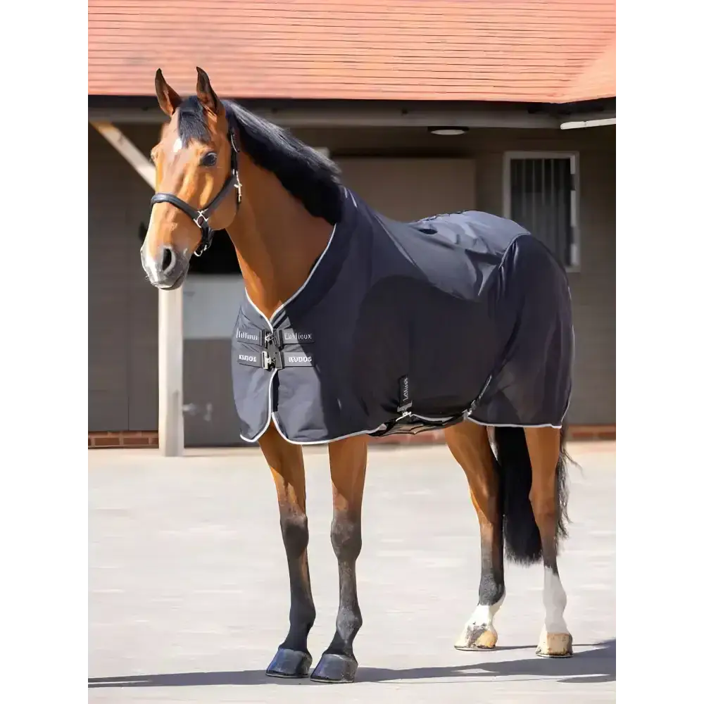 Lemieux Kudos Hybrid Cooler Black-Cooler Rugs-Lemieux-5'6"-Black-Horsey Shopping