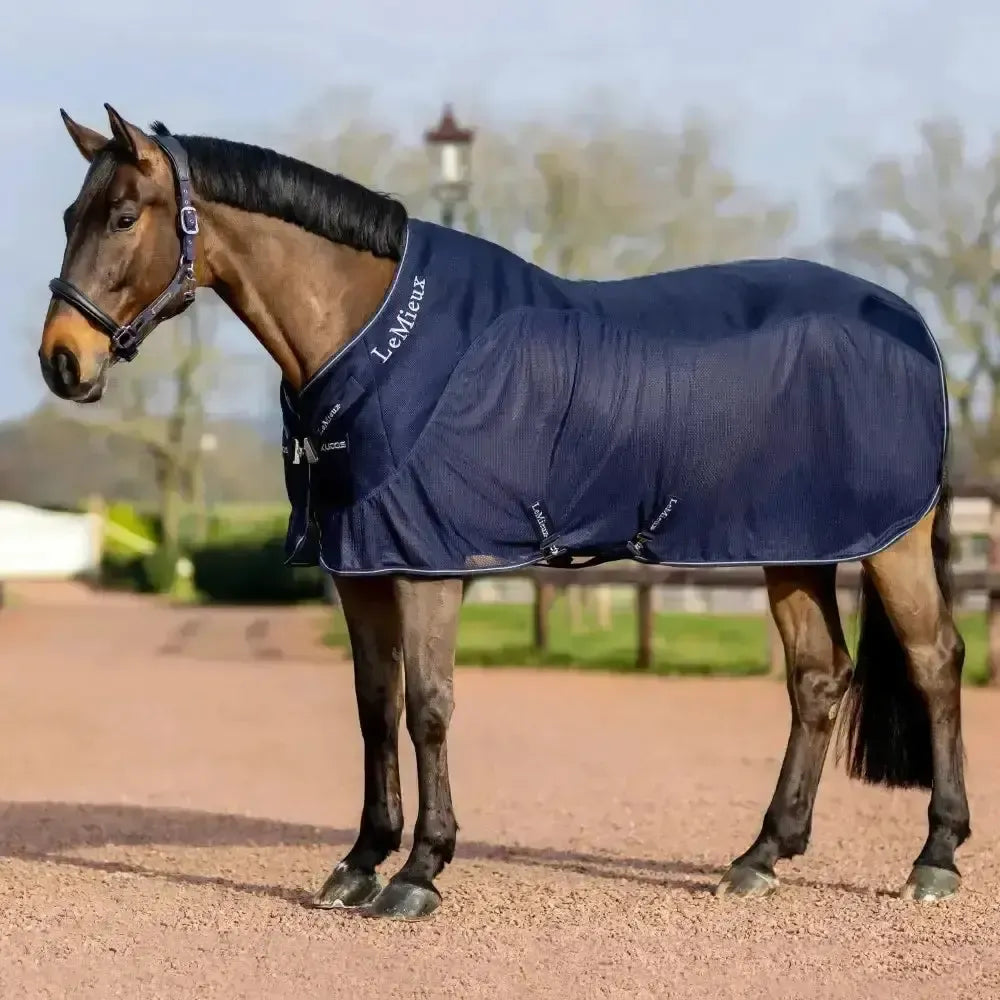 Lemieux Kudos Mesh Sports Cooler Rug-Cooler Rugs-Lemieux-Navy-5'6"-Horsey Shopping
