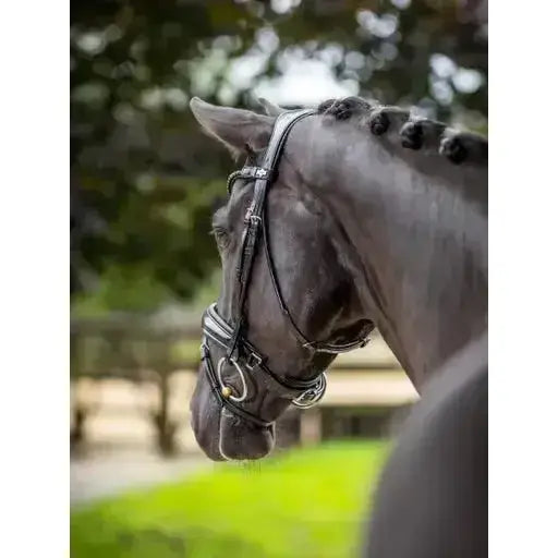 Lemieux Kudos Patent Dressage Bridle Black-Flash Bridles-Lemieux-Pony-Black-Horsey Shopping